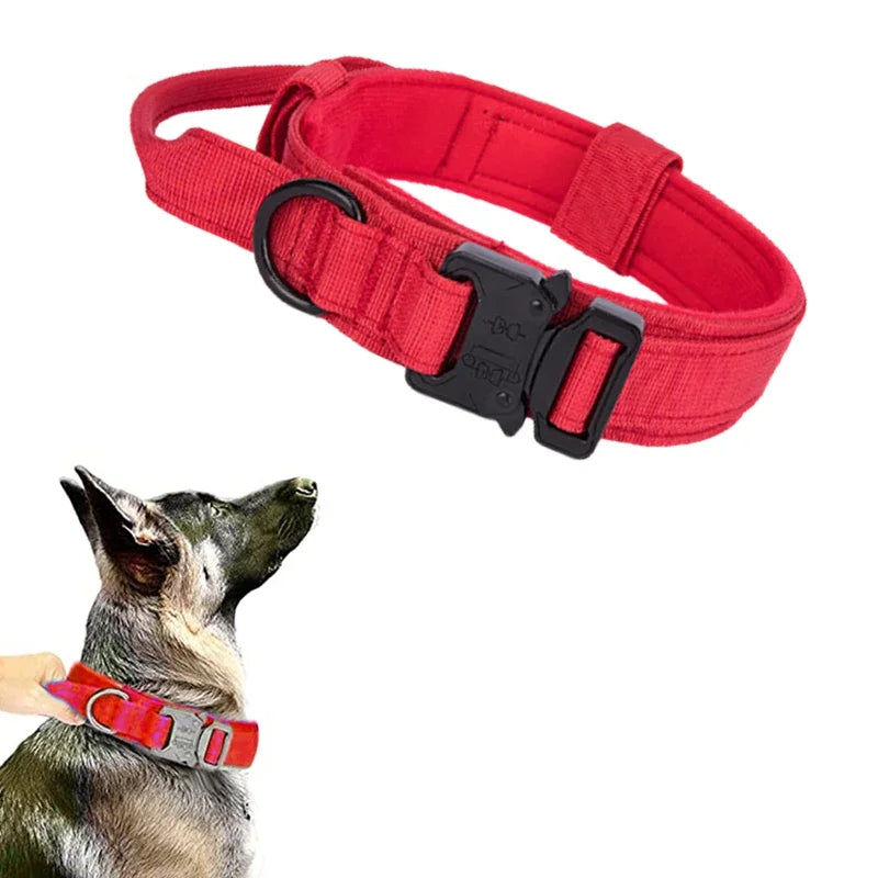 Cooyomoo Durable Dog Collar Leash Set Training Accessories