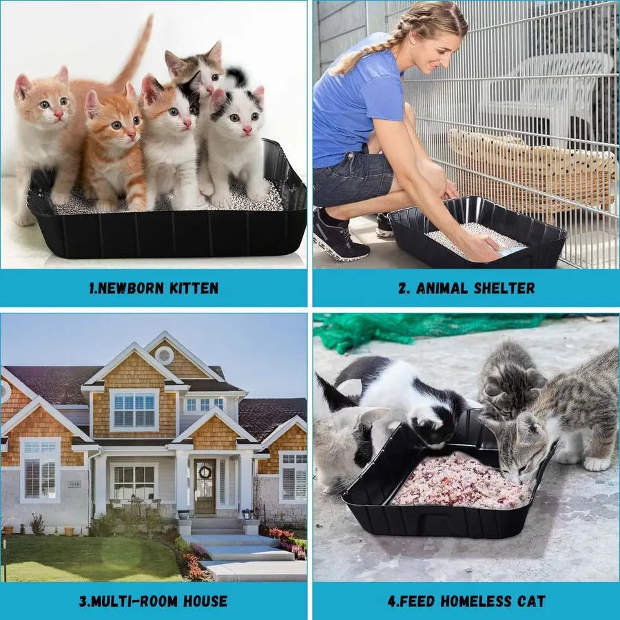Pieces Disposable Litter Boxes for Cats Small Kitty Litter Box Litter Tray for Pets Plastic Litter Boxes for Indoor Cats Kitten