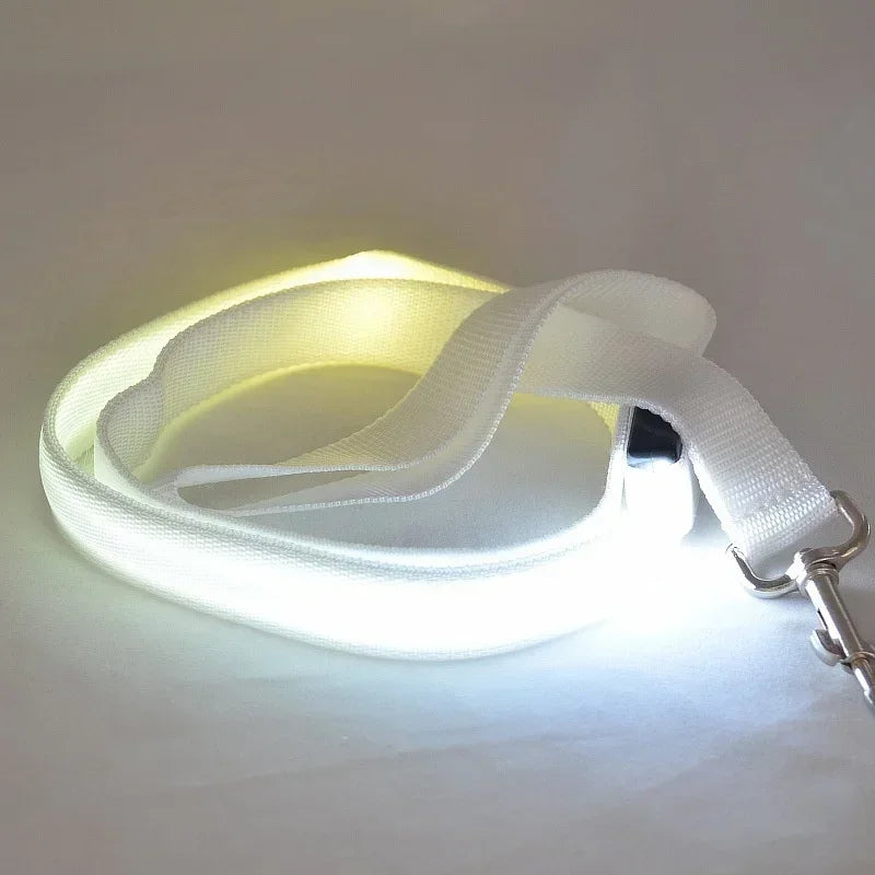 NONECN LED Light Up Dog Leash Luminous Rope Lead Safety