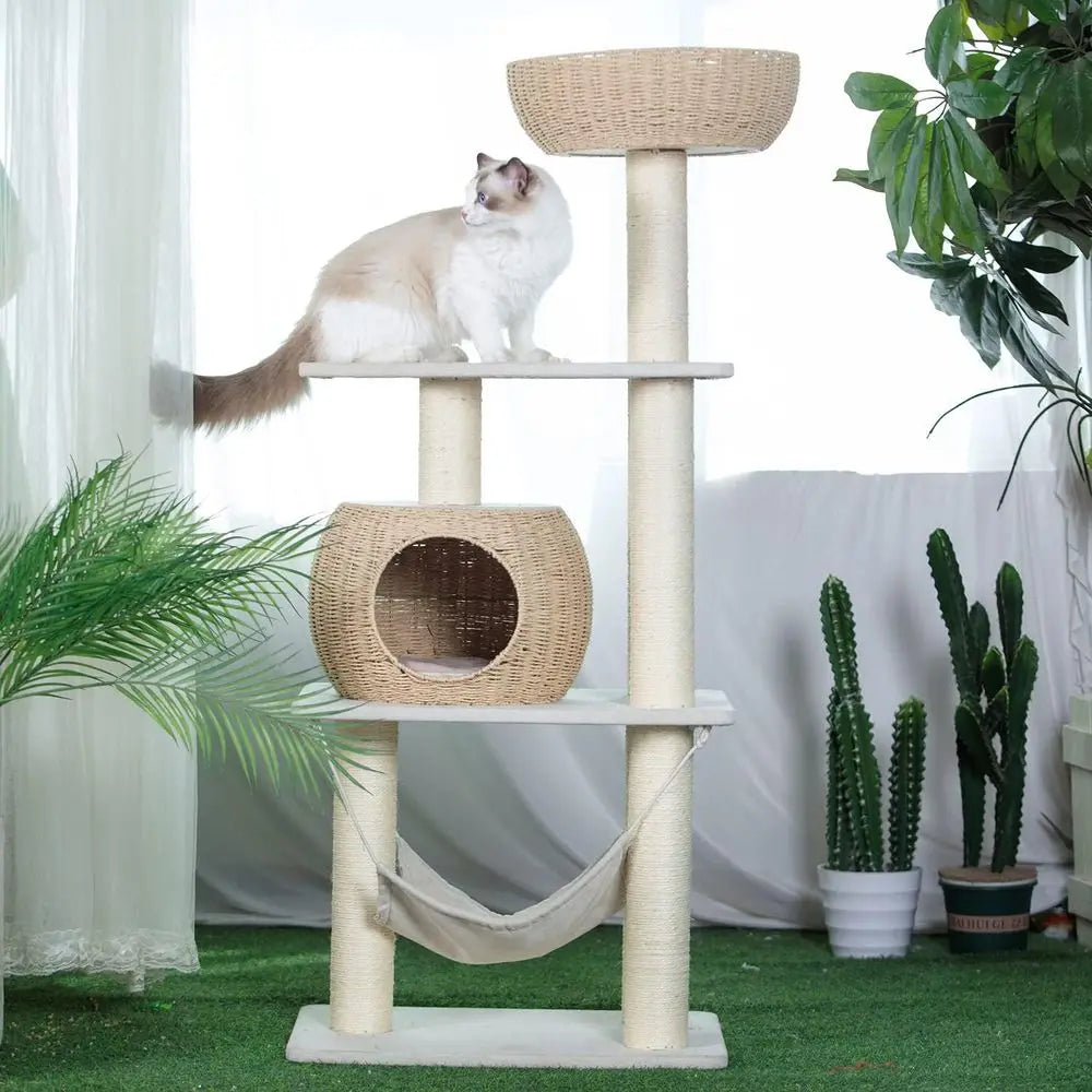 Wood Cat Tree or Indoor Cats, 52.4 Inch Tall, with Scratching Post and Hammock
