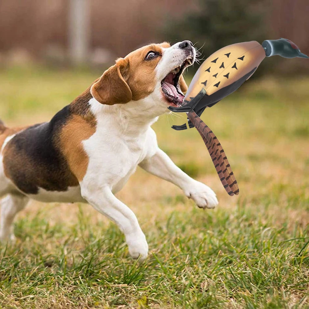 HiMISS Pheasant Dummy Bumper Toy For Hunting Retriever