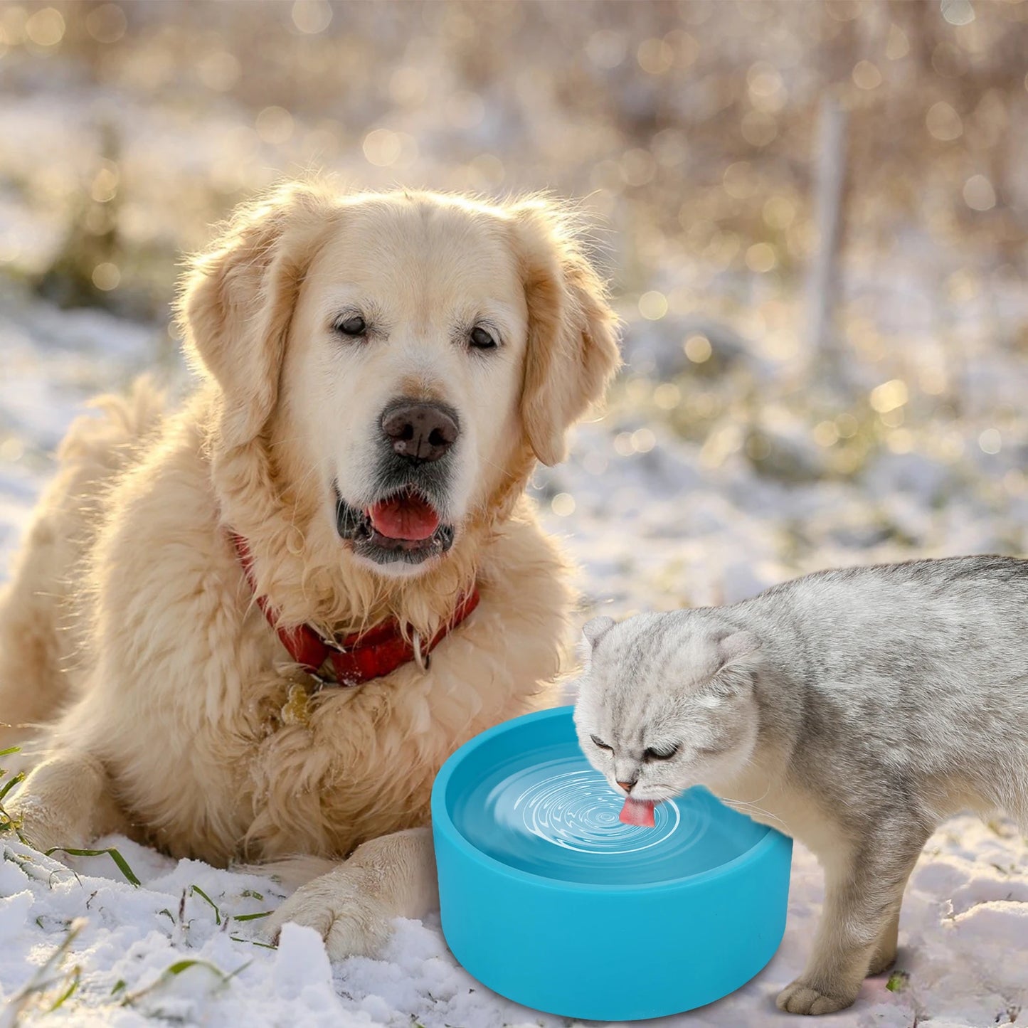 Heated Water Bowl 3.2 L/108 Oz Outdoor Thermal Pet Bowl Heated Pet Water Bowl Provides Drinkable Water in Winter for Dog & Cat