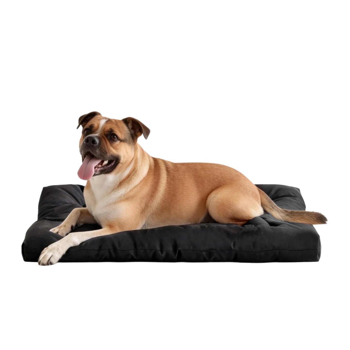 Chew Proof Dog Bed Indestructible Crate Pad Waterproof And Washable Kennel Mats