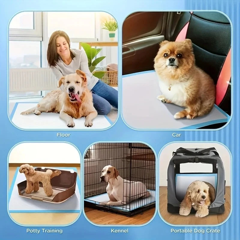 NONEDog Litter Leak Proof Quick Dry Dog Pee Pads For Potty Training