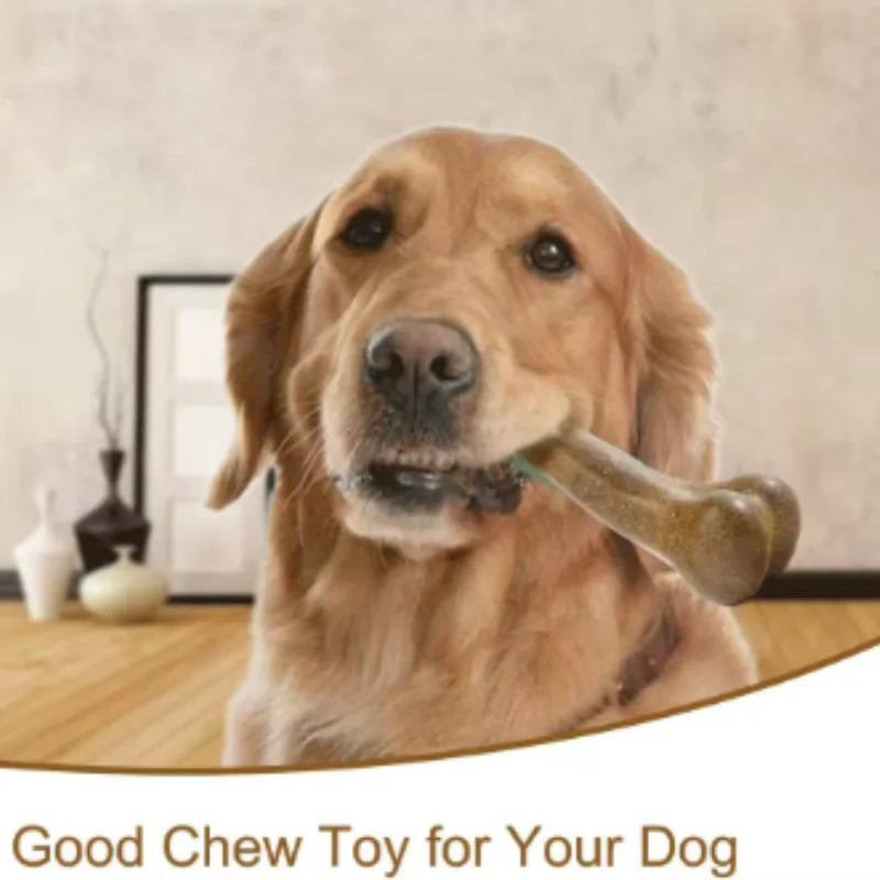 Durable Non Toxic Natural Wood Dog Bone Chew Toy