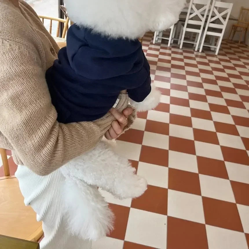 Cotton Letter Hoodie Pet Clothing for Dogs