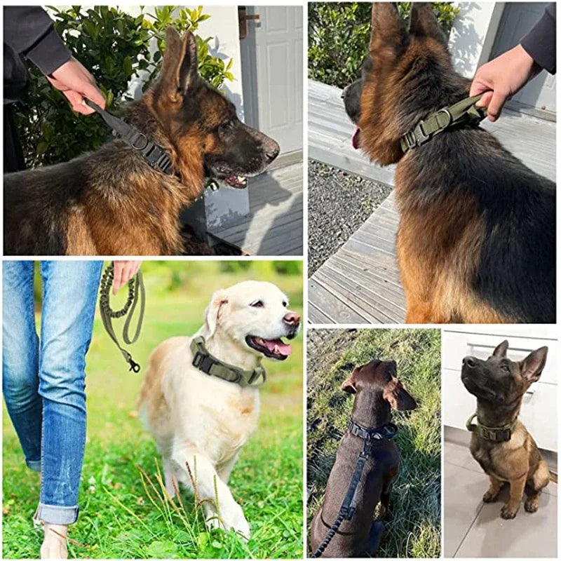 Cooyomoo Durable Dog Collar Leash Set Training Accessories