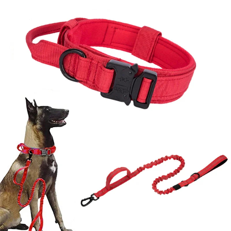Cooyomoo Durable Dog Collar Leash Set Training Accessories