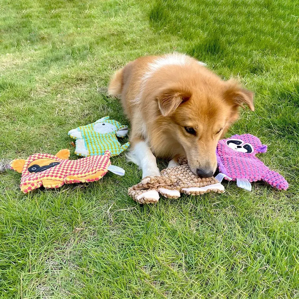 Cute No Stuffing Dog Toy for Small, Medium Breeds, Indoor Puppies with Soft Squeaker and Crinkle Paper, No Chew and Play (4 Pack