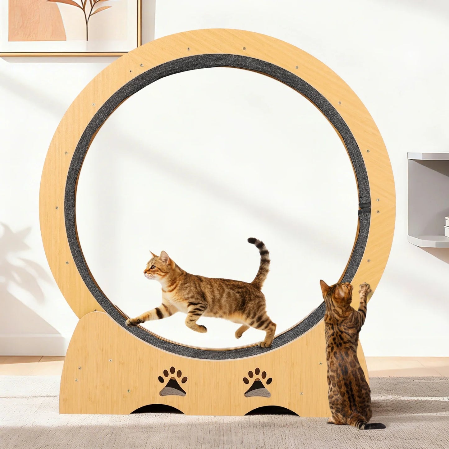 Wooden Cat Exercise Wheel forIndoor Cat, Large cat Running Treadmill with Low Noise Carpeted Runway, Removable Carpet Cat Wheel