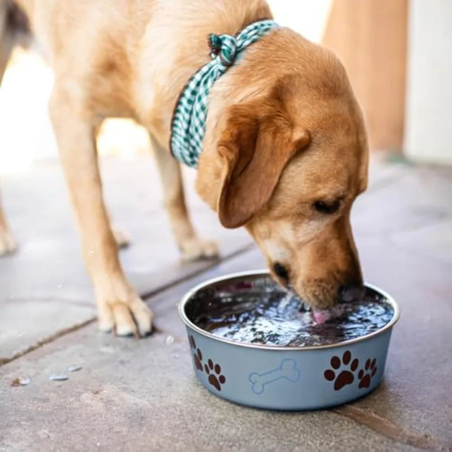 Stainless Steel Dog Cat Bowls Spill Proof Hygienic Eating Surface