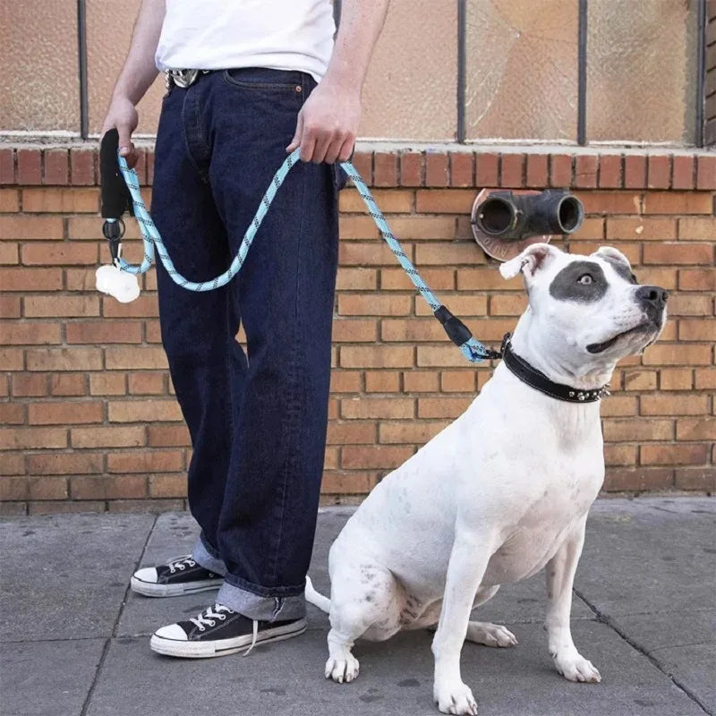 Dog Collar Leash Set Adjustable AntiPull Nylon Outdoor Training