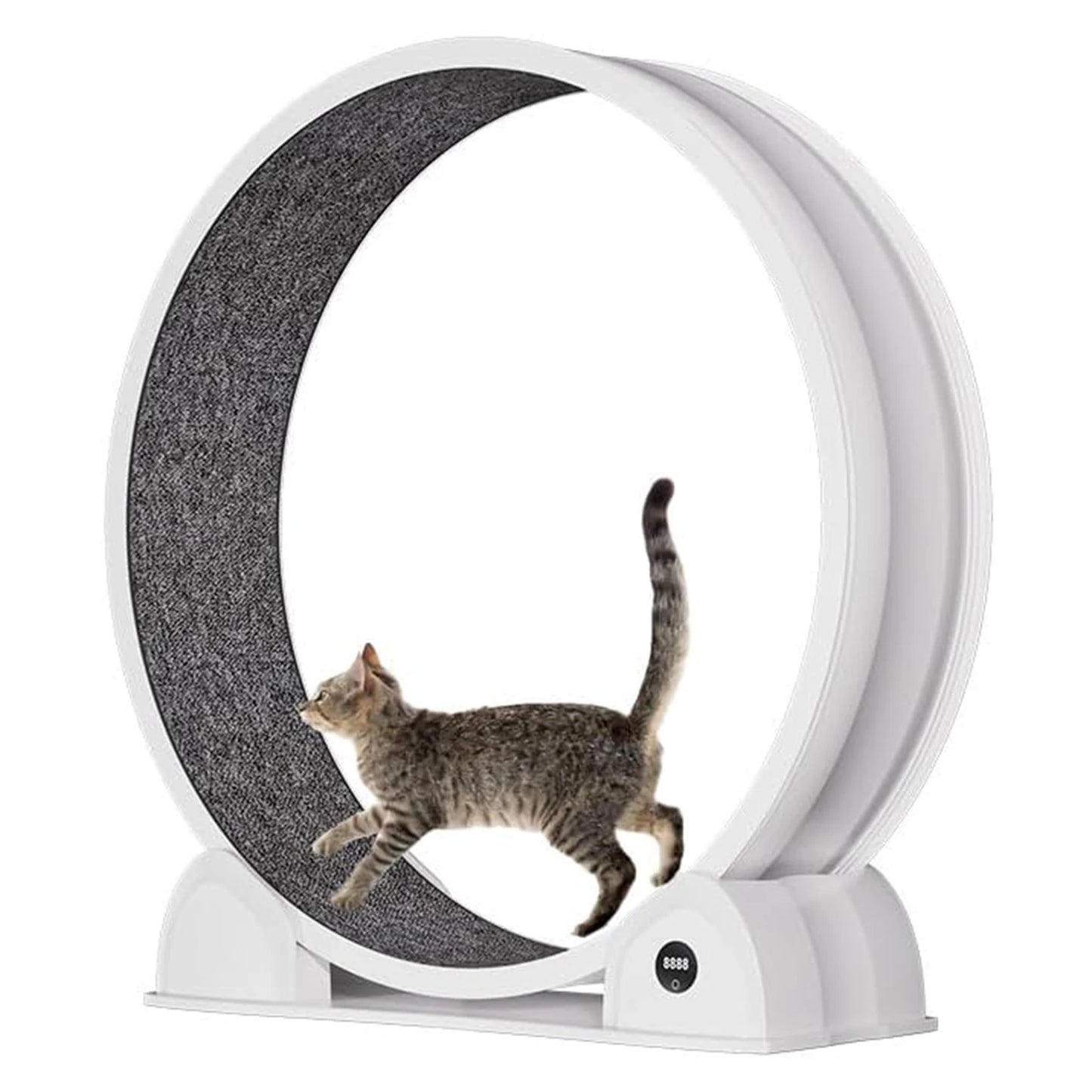 HiMISSCN Cat Exercise Wheel Indoor Quiet Treadmill With Pedometer