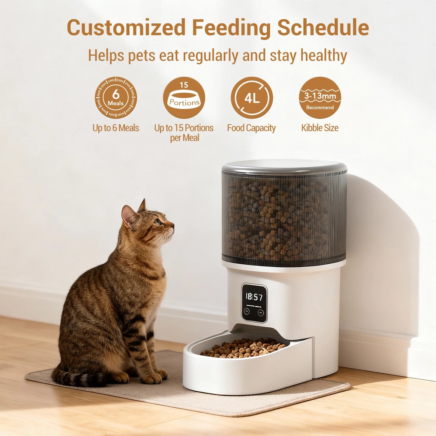 HiMISS Programmable 4L Automatic Pet Feeder 6 Meals For Cats And Small Dogs