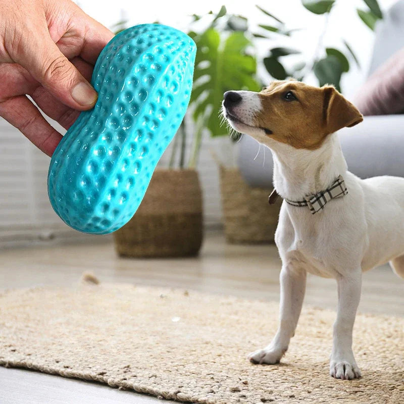 Pet Peanut Toy TPR Chew Toy For Dogs Interactive Squeak
