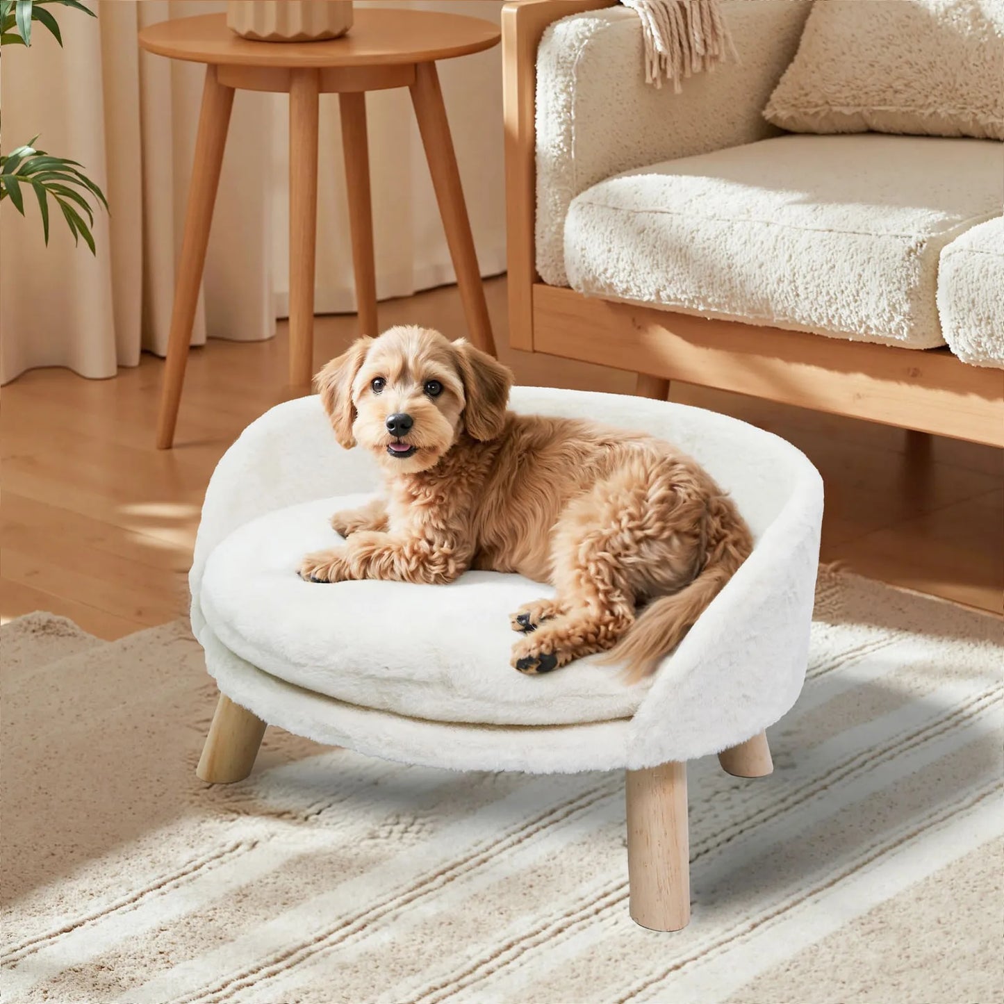 BORWART Soft Elevated Dog Cat Sofa Bed With Removable Cushion