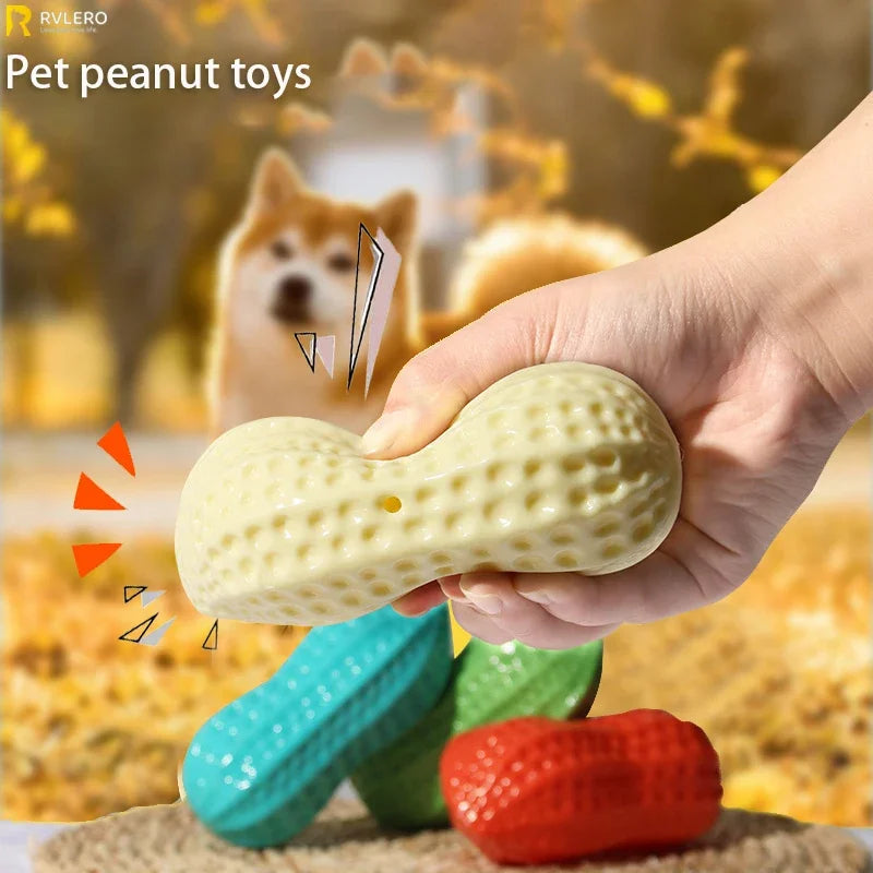Pet Peanut Toy TPR Chew Toy For Dogs Interactive Squeak