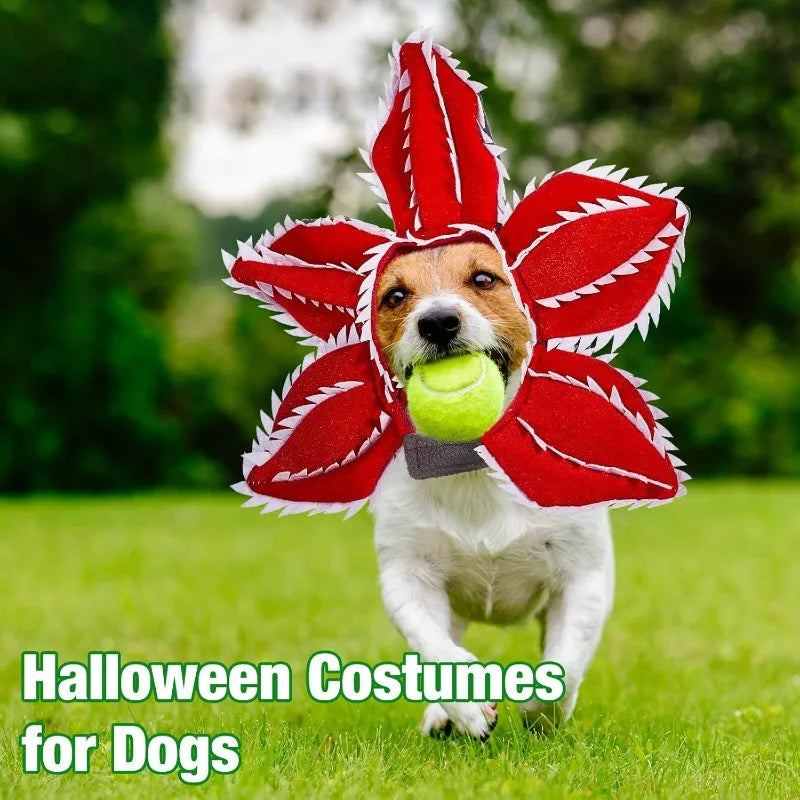 Cute Floral Cosplay Headband For Puppies