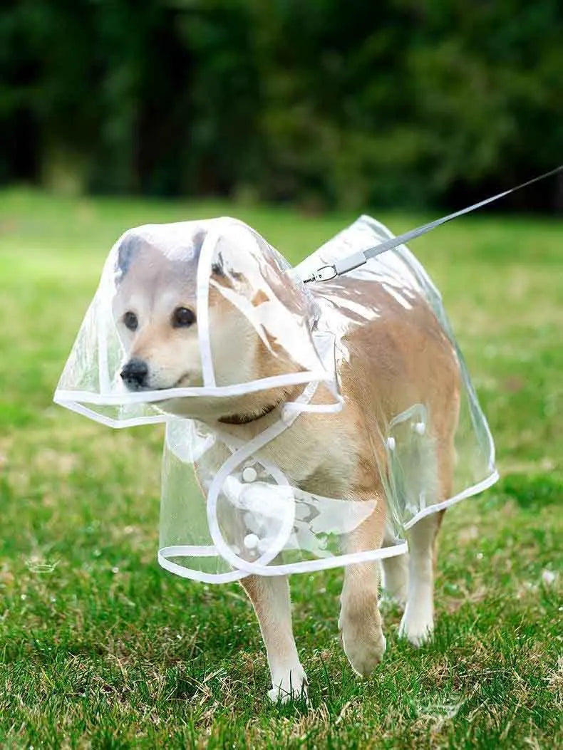 Transparent Waterproof Pet Raincoat With Hat For Dogs