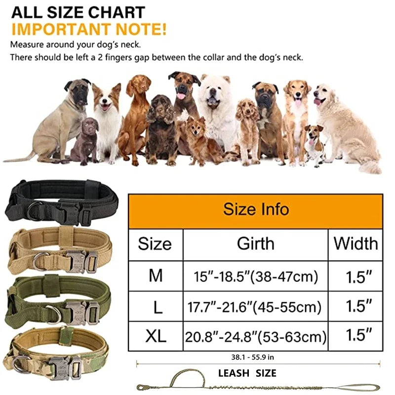 Cooyomoo Durable Dog Collar Leash Set Training Accessories