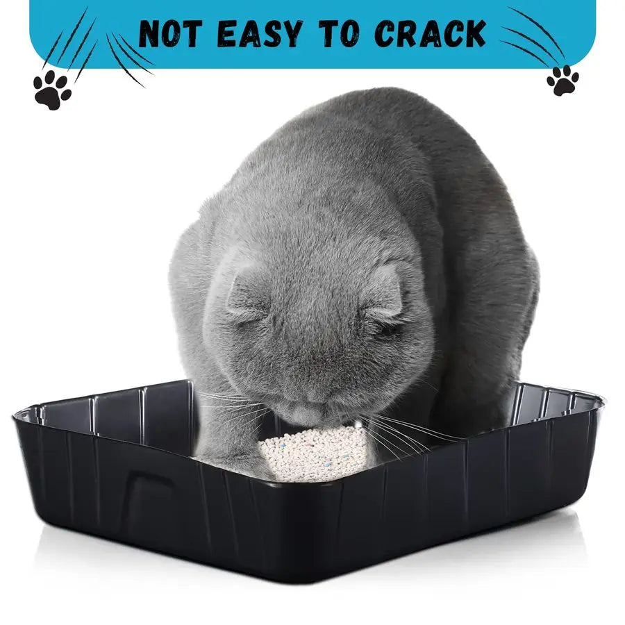 Pieces Disposable Litter Boxes for Cats Small Kitty Litter Box Litter Tray for Pets Plastic Litter Boxes for Indoor Cats Kitten