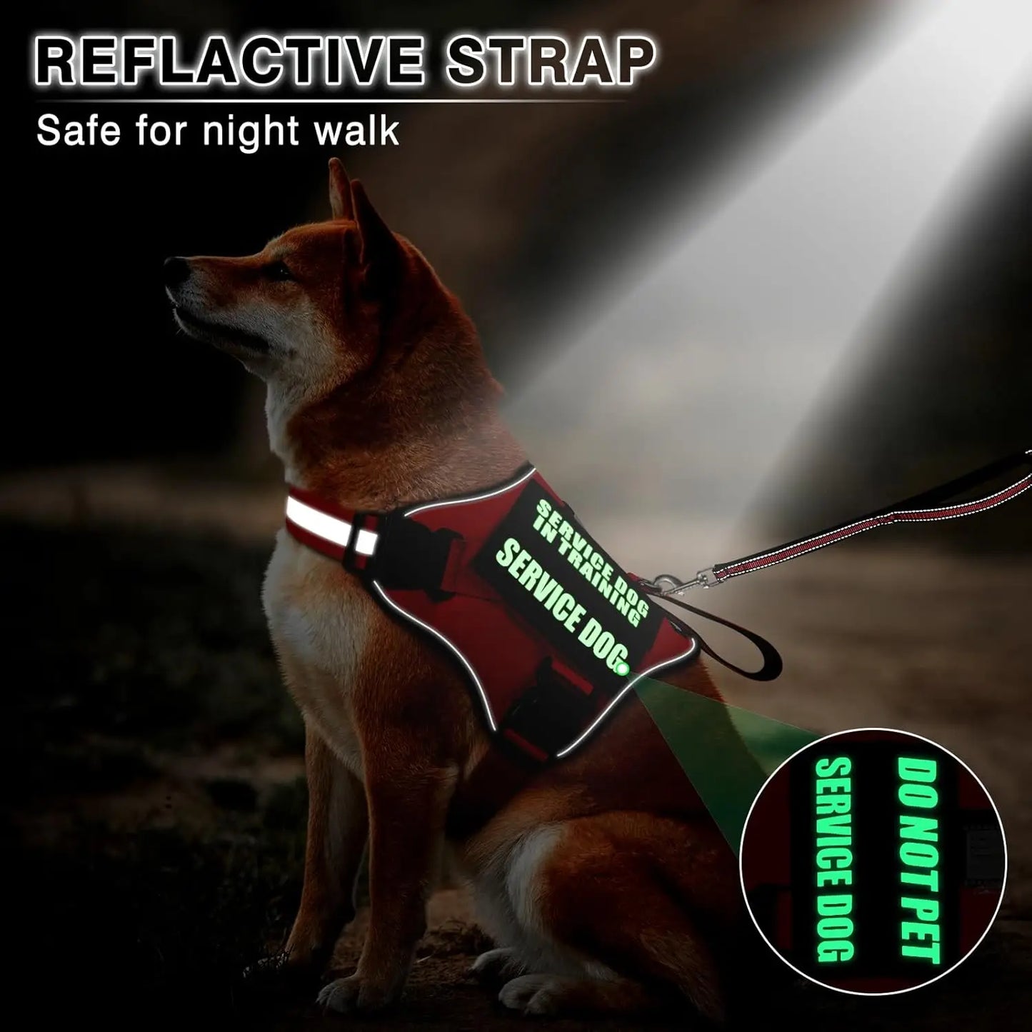 Adjustable No-Pull Dog Harness with Leash & Patches, Reflective Padded Handle for Training, Fits Small to XL Dogs in Red