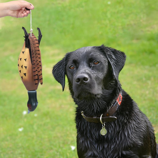 HiMISS Pheasant Dummy Bumper Toy For Hunting Retriever