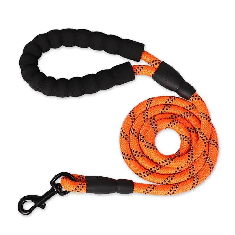 Dog Collar Leash Set Adjustable AntiPull Nylon Outdoor Training
