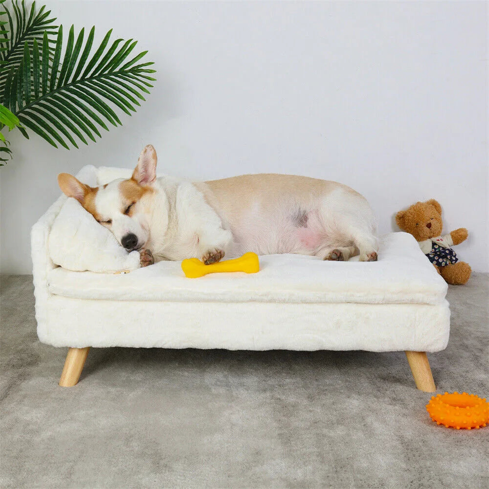 Borwart CN Luxury Elevated Dog Sofa Bed With Backrest