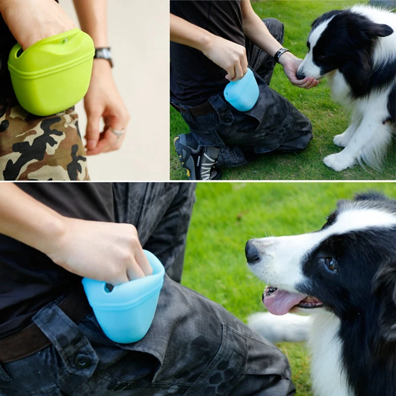 Dog Treat Pouch Waist Bag for Training Outdoors Portable