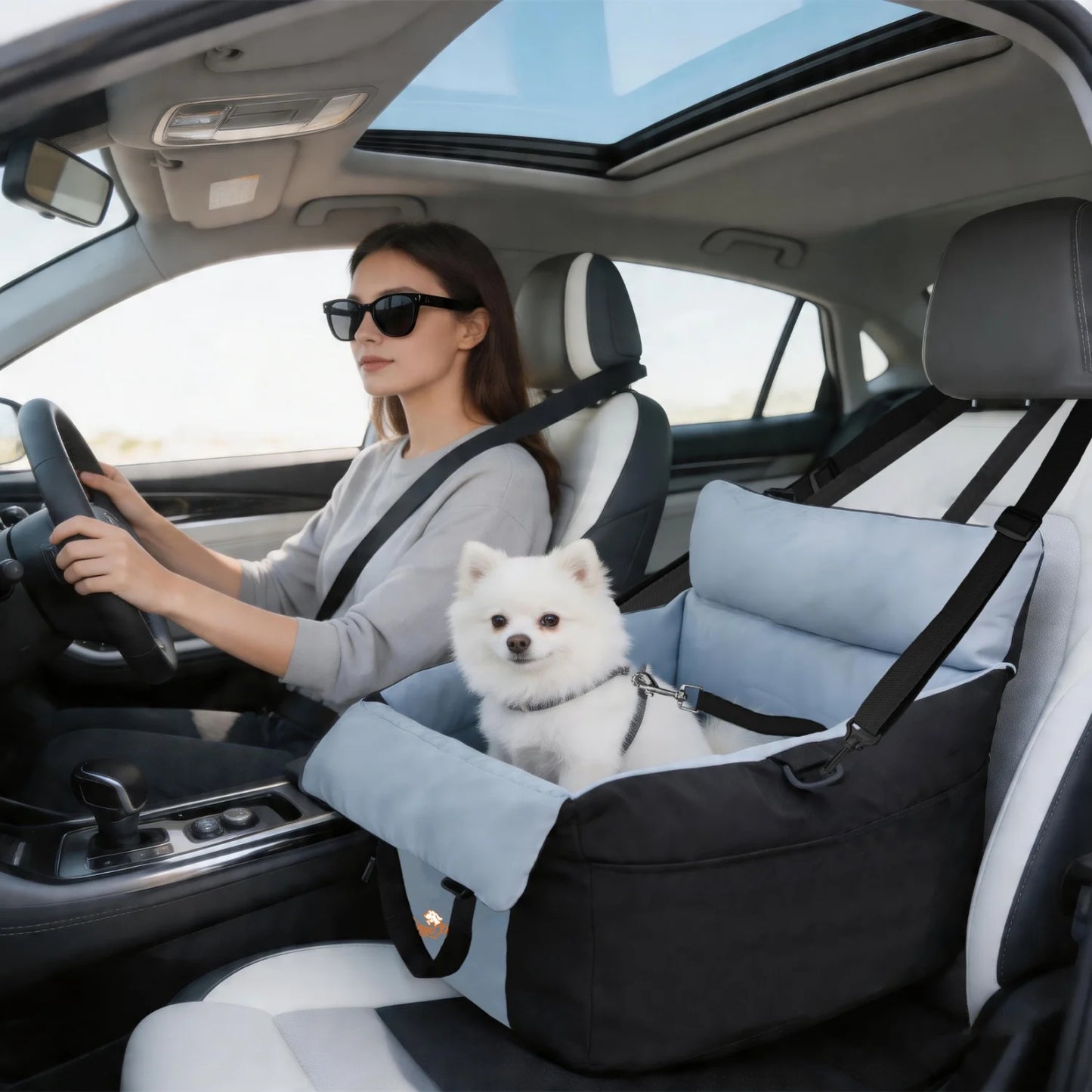 BINGOPAW Dog Car Seat For Small Dogs Washable Booster Carrier
