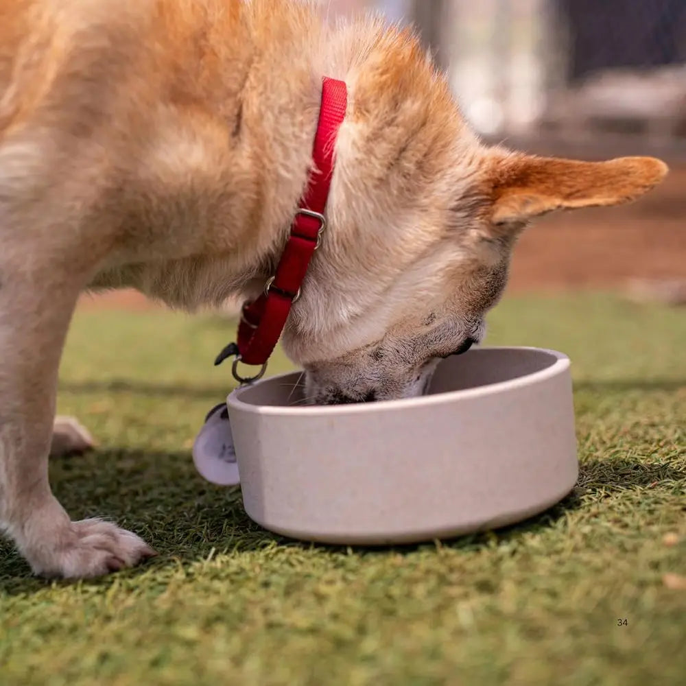 Eco Friendly Bamboo Steel Pet Bowls For Dogs Cats Dishwashable