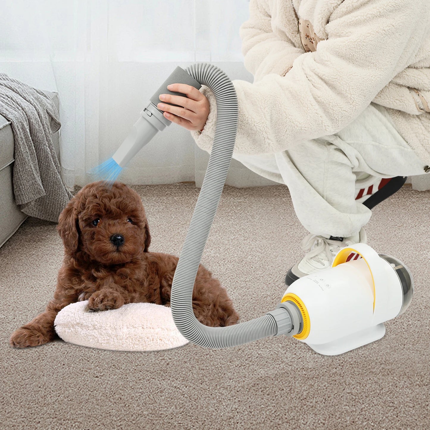Automatic Pet Dryer Machine Cat Dogs Dryer Box 600W/1000W/2800W Smart Dryer Water Blower Adjustable Blow-Dryer for Pet Grooming
