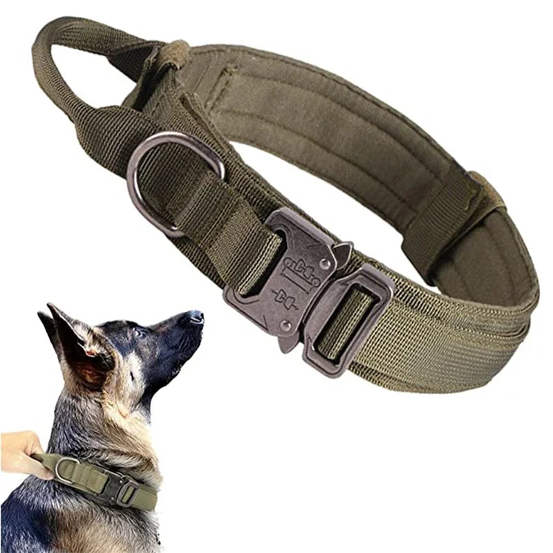 Cooyomoo Durable Dog Collar Leash Set Training Accessories