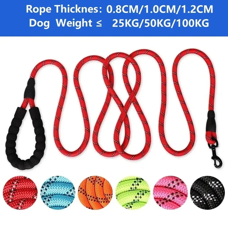 Dog Collar Leash Set Adjustable AntiPull Nylon Outdoor Training