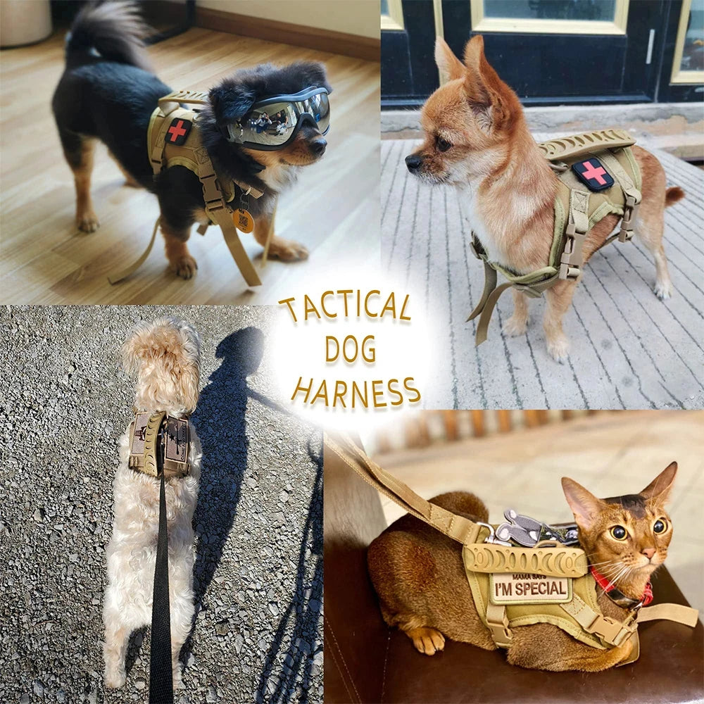 Puppy Harness Leash Set For Small Dogs And Cats