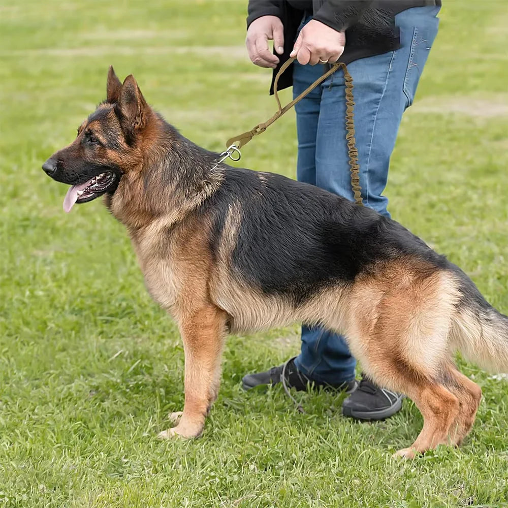 Dog Leash With Adjustable Elastic Rope And Dual Handles