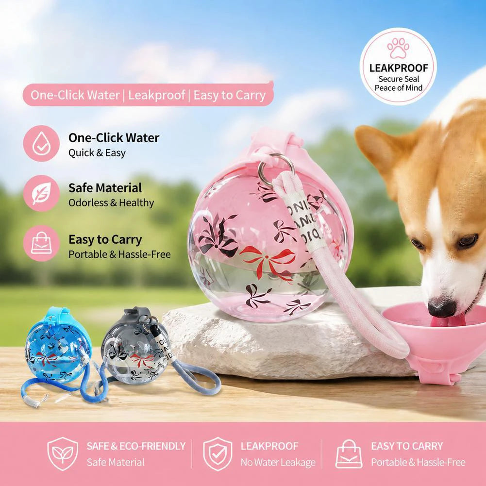 2 In 1 Portable Dog Water Bottle With Lanyard And Foldable Silicone Bowl