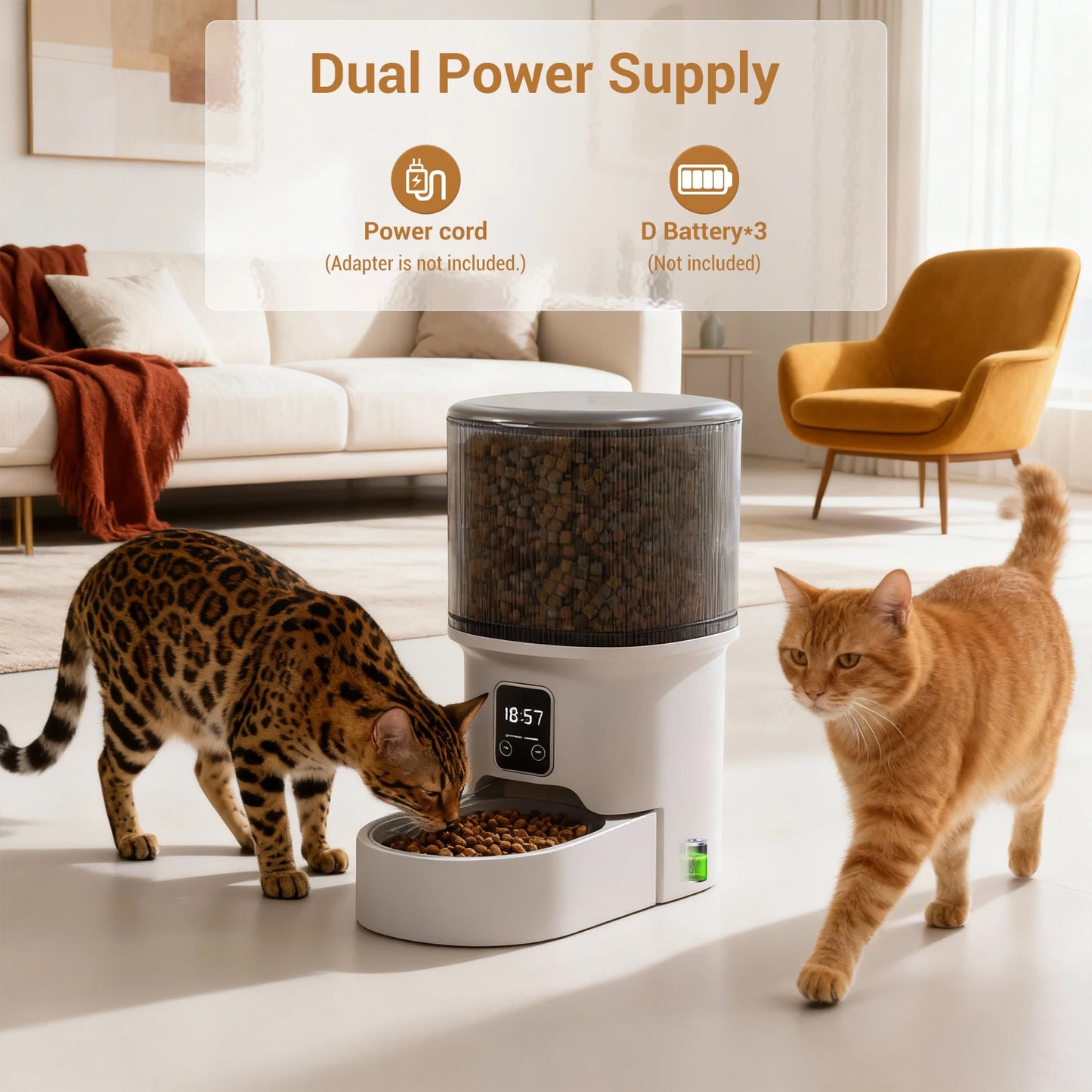 HiMISS Programmable 4L Automatic Pet Feeder 6 Meals For Cats And Small Dogs