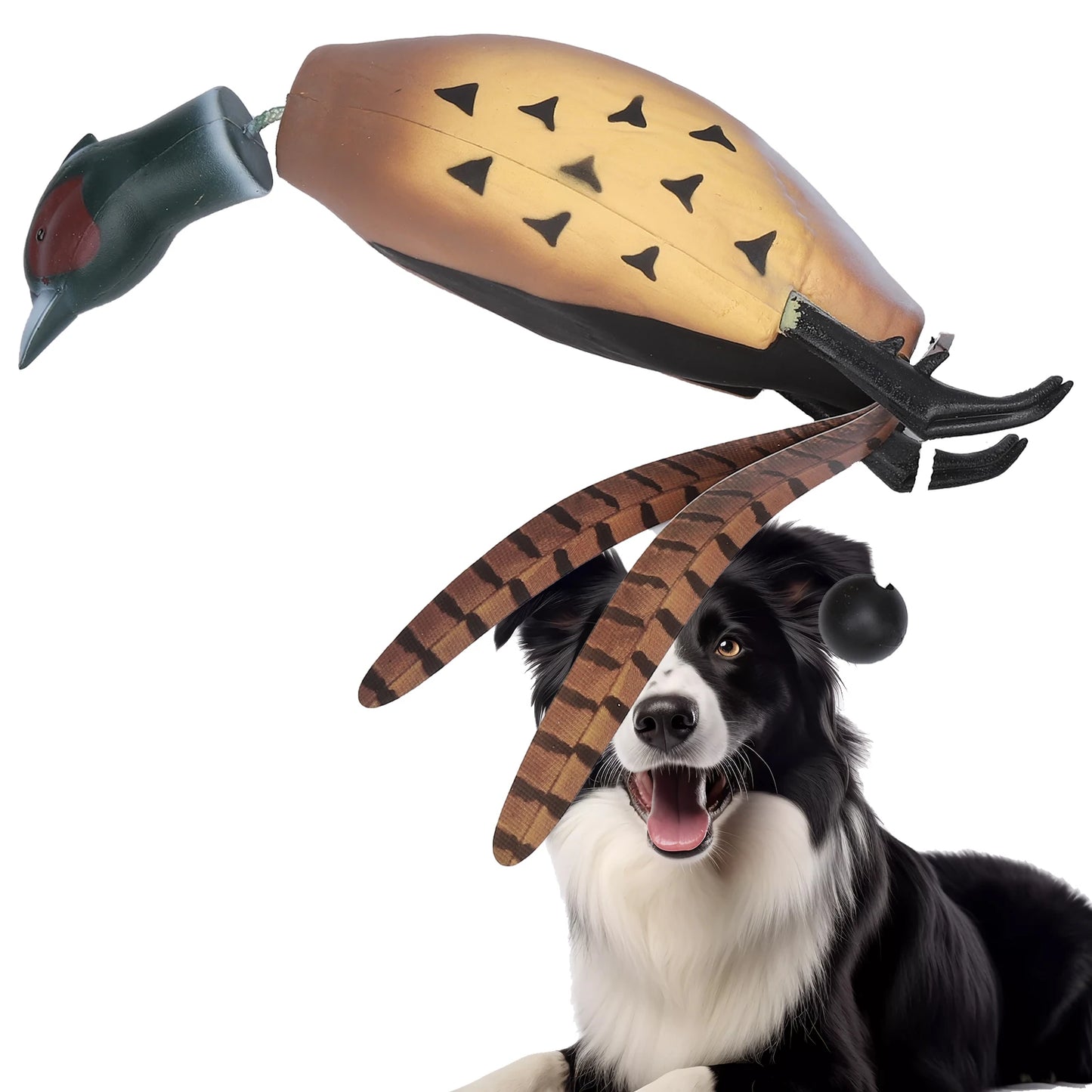 HiMISS Pheasant Dummy Bumper Toy For Hunting Retriever