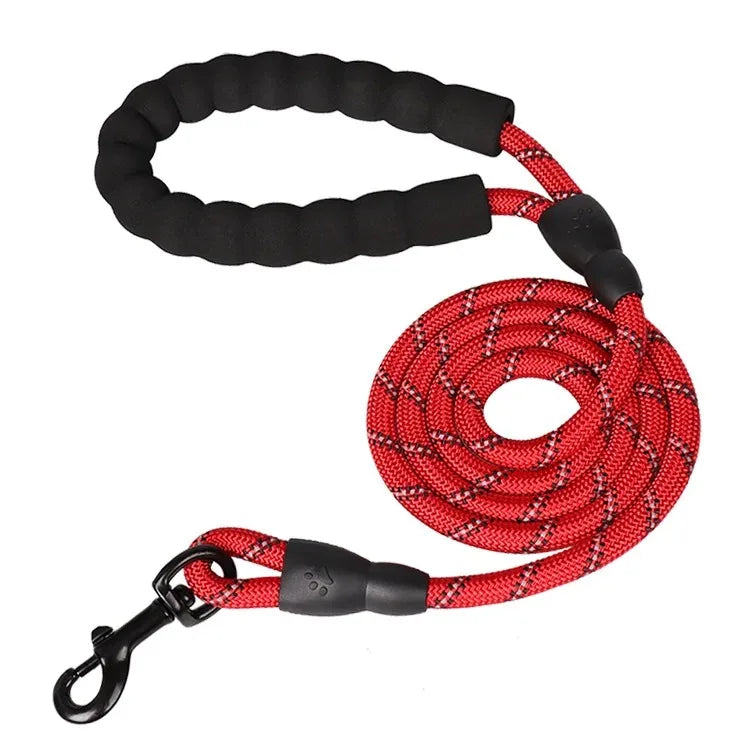 Dog Collar Leash Set Adjustable AntiPull Nylon Outdoor Training