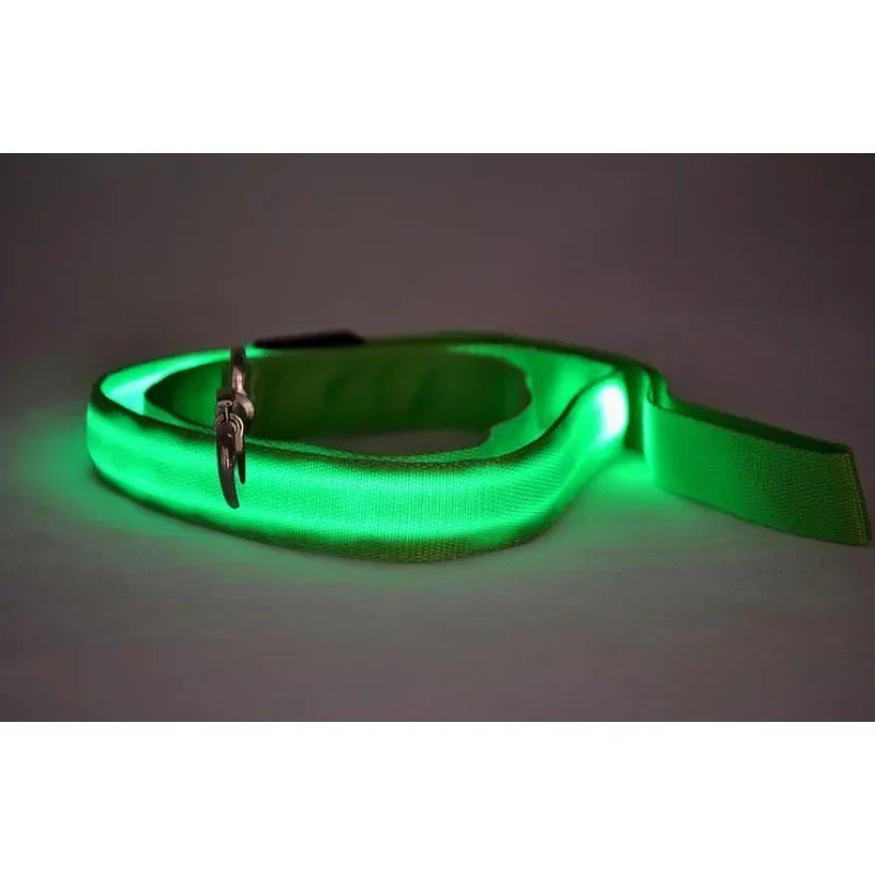 NONECN LED Light Up Dog Leash Luminous Rope Lead Safety