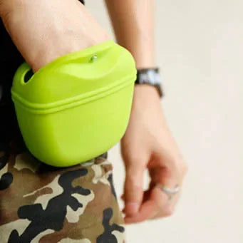 Dog Treat Pouch Waist Bag for Training Outdoors Portable