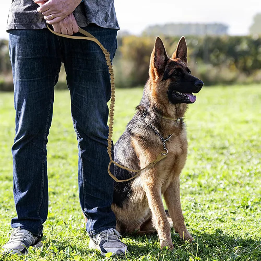 Dog Leash With Adjustable Elastic Rope And Dual Handles