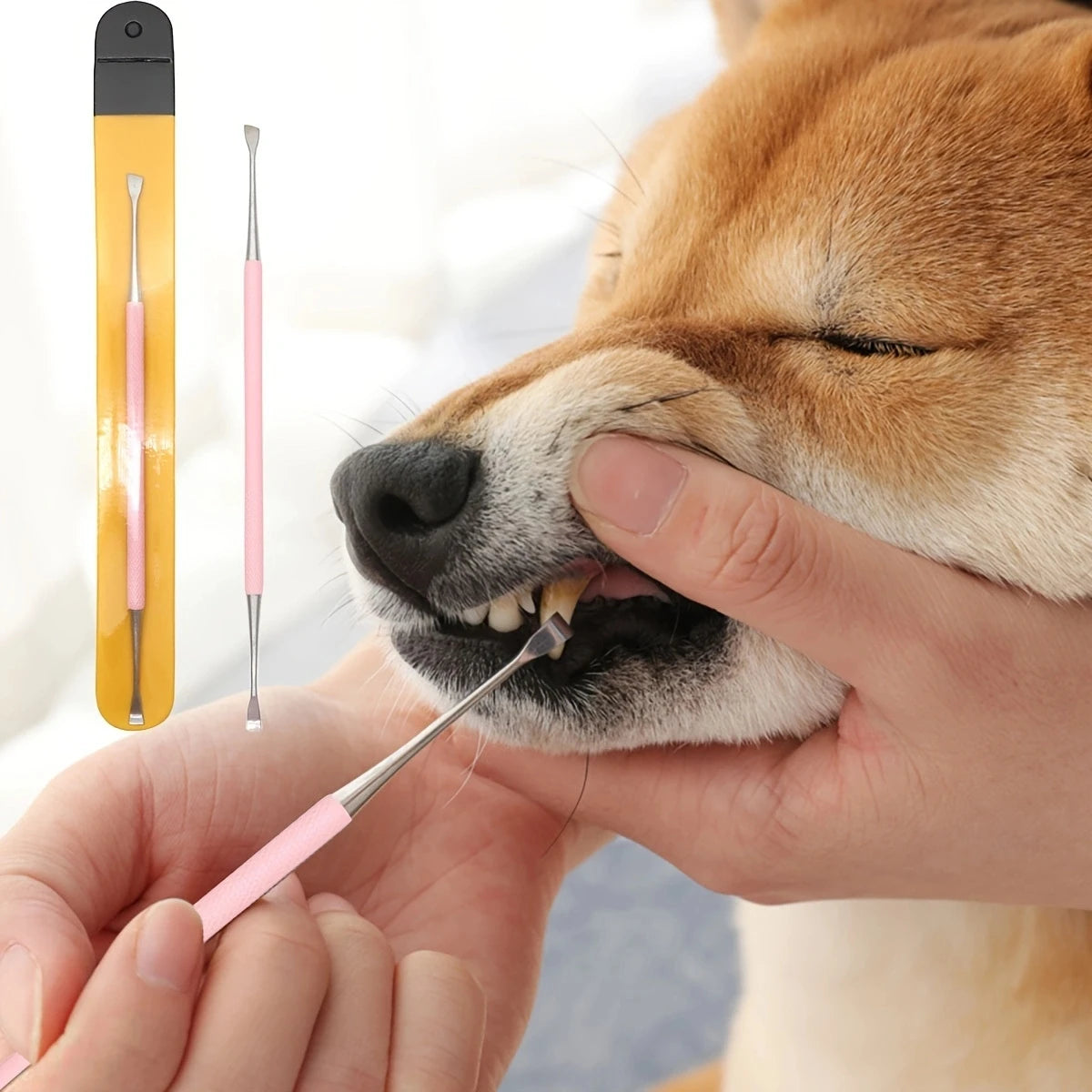 Pet Dog Tooth Cleaner Stainless Steel Tartar Remover Double Headed Scraper Kit