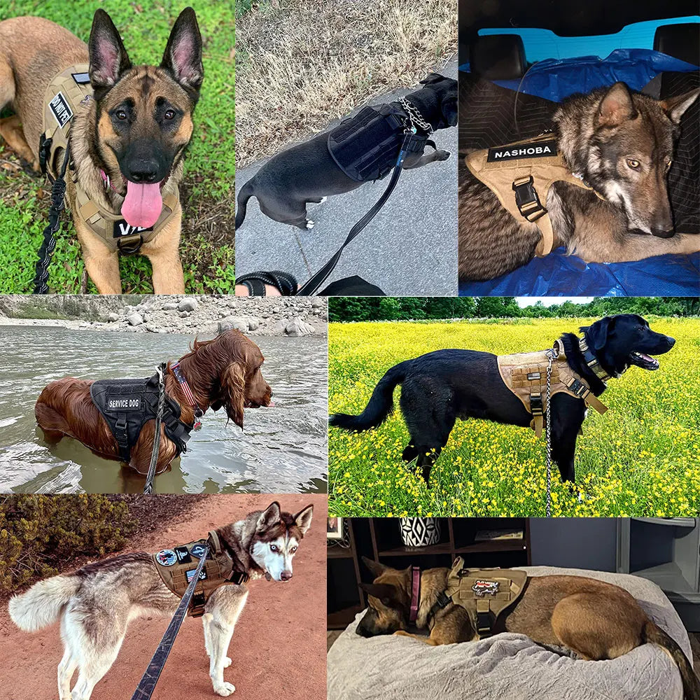 Military Large Dog Harness Collar Leash Bags Patches Set Pet Malinois Training Vests Dogs Harnesses Accessories