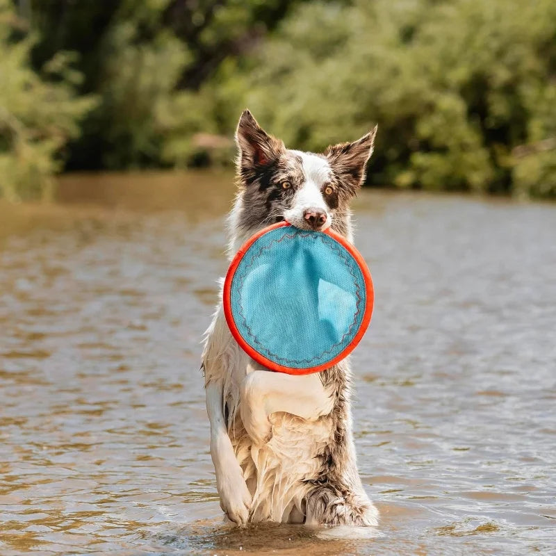 Paraflight Flying Disc Dog Toy Nylon Floatable With Soft Edges