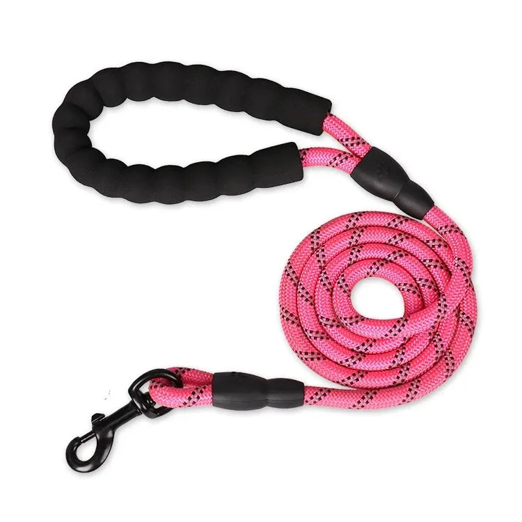 Dog Collar Leash Set Adjustable AntiPull Nylon Outdoor Training