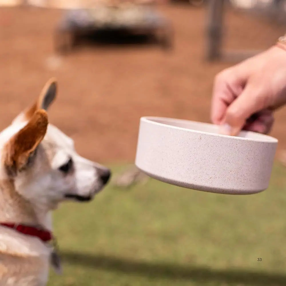 Eco Friendly Bamboo Steel Pet Bowls For Dogs Cats Dishwashable