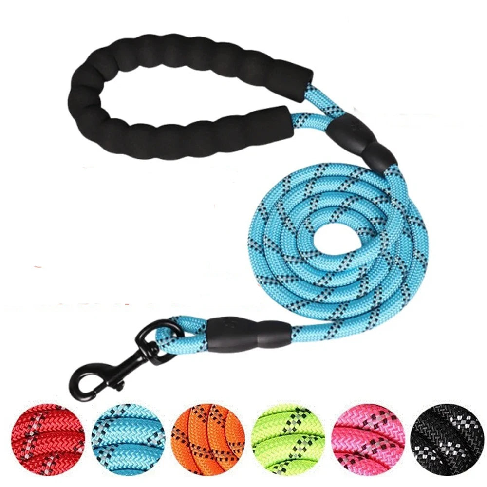 Dog Collar Leash Set Adjustable AntiPull Nylon Outdoor Training